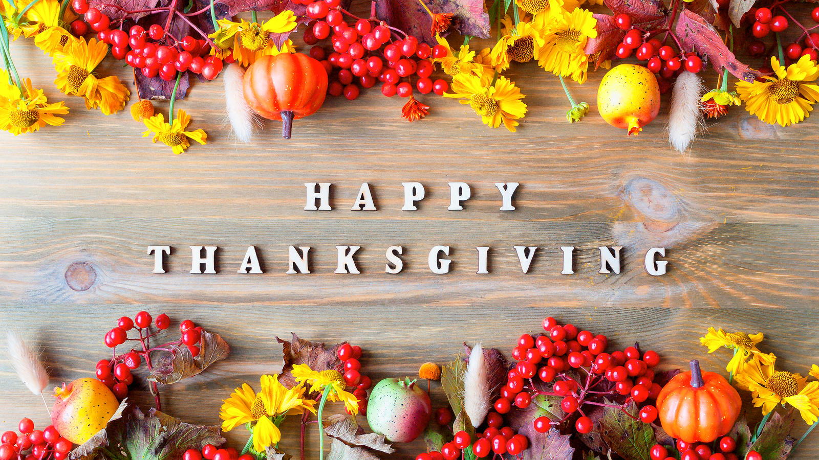Message from the Chancellor Happy Thanksgiving, Eagles! North